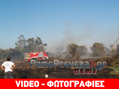 Πρέβεζα: Υπό έλεγχο η φωτιά στον Μύτικα