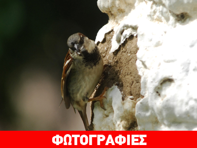 Παγκόσμια Ημέρα Βιοποικιλότητας