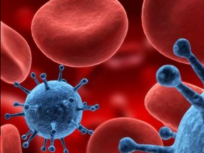 Γονιμότητα: Βλαστοκύτταρα στις ανθρώπινες ωοθήκες