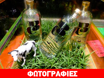 Βότκα από… αγελαδινό γάλα