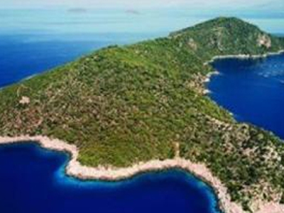 Τα γίδια των… βραχονησίδων