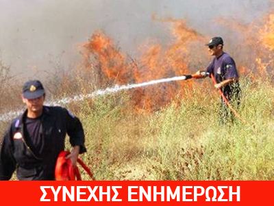 Πυρκαγιά στον Σχοινιά