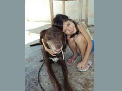 Χάθηκε ο Έκτορας