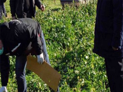 Τον δολοφόνησαν και τον έθαψαν σε χωράφι