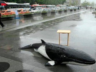 Εγκαταλείπει το σχέδιο φαλαινοθηρίας η Ν. Κορέα Εγκαταλείπει το σχέδιο φαλαινοθηρίας η Ν. Κορέα