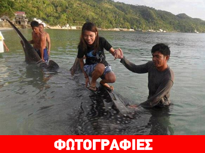 Απίστευτος βασανισμός φαλαινοκαρχαρία