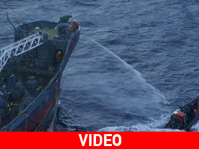 Επεισόδιο μεταξύ φαλαινοθήρων – ακτιβιστών στην Ανταρκτική