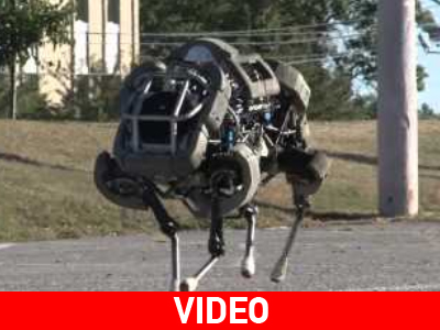 Wildcat: Το ταχύτερο ρομπότ του κόσμου Wildcat: Το ταχύτερο ρομπότ του κόσμου