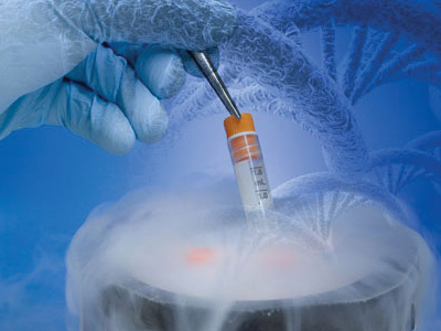 Γονιμότητα: Η διαδικασία της ωοληψίας στην εξωσωματική γονιμοποίηση