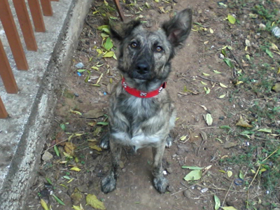 Χάθηκε από τη Δουκίσσης Πλακεντίας
