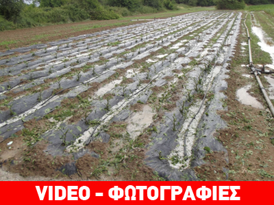 Τρίπολη: Άμεση κινητοποίηση του δήμου για τη χαλαζόπτωση