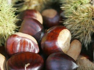 Διαμαρτυρία καστανοπαραγωγών στα Χανιά