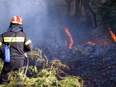Χανιά: Ο απολογισμός των πυρκαγιών