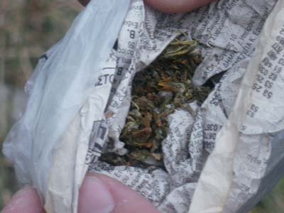 Συλλήψεις για κατοχή ναρκωτικών στη Θεσσαλονίκη