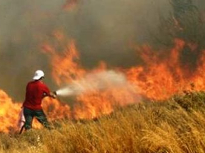 Πυρκαγιά στη Φθιώτιδα