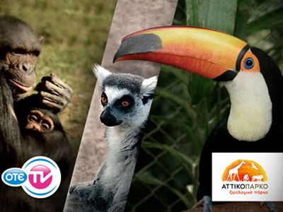 Κερδίστε απεριόριστες επισκέψεις στο Αττικό Ζωολογικό Πάρκο