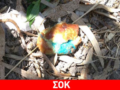 Βάζει φόλες σε τυρόπιτες