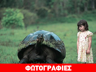 Γιγάντιες χελώνες στα Γκαλαπάγκος