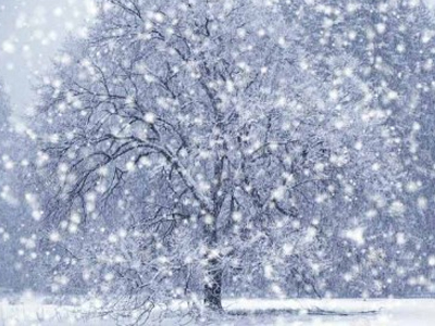 ΤΑ ΝΕΑ ΤΟΥ ΜΠΙ-ΚΟΥ-ΤΙ