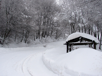 Ντύθηκε στα λευκά το Πήλιο