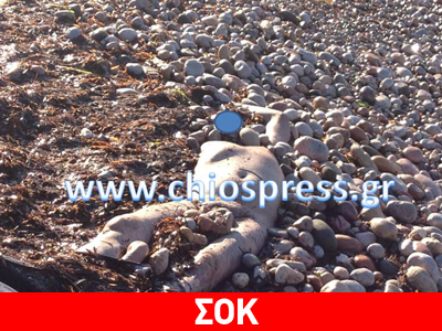 Εντοπίστηκε και τρίτο πτώμα στη Χίο