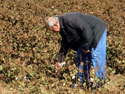 Ηλεία: Βρήκε χειροβομβίδα στο χωράφι του