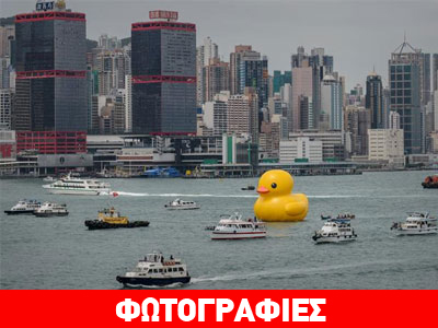 Στο Χονγκ Κονγκ το παπάκι-γίγας Στο Χονγκ Κονγκ το παπάκι-γίγας