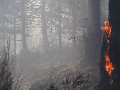 Χαλκιδική: Ενεργό το πύρινο μέτωπο-Δεν εμπνέει ανησυχία