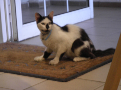 Ψάχνει την οικογένειά του