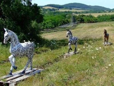 Λύθηκε το «μυστήριο της ζέβρας»