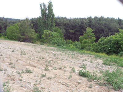 Αντίδοτο στην κρίση οι δημοτικοί λαχανόκηποι