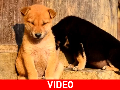 Όταν κλείνει το βλέφαρο…