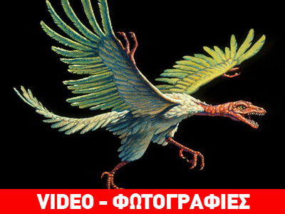 Νέα τεχνολογία δίνει απαντήσεις στο μυστήριο του Αρχαιοπτέρυγα