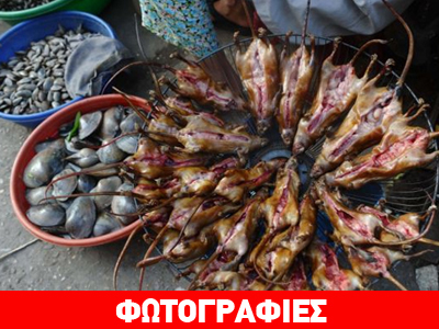 Ψητοί αρουραίοι,  νούμερο ένα λιχουδιά στο Βιετνάμ