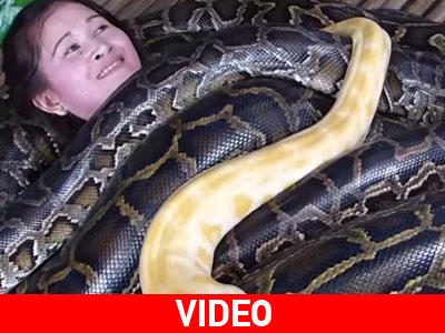Μασάζ με… πύθωνες Μασάζ με… πύθωνες