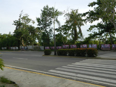 Θέλετε να παντρευτείτε; Πρώτα κάντε δενδροφύτευση!