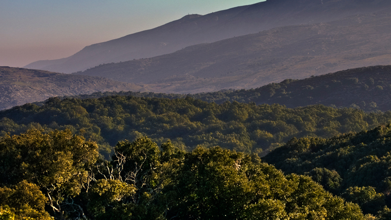 Με αφορμή την Παγκόσμια Ημέρα Δασοπονίας…