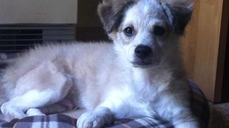 Χάθηκε ο Μαξ