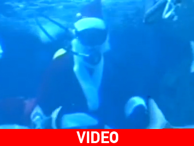 O Άγιος Βασίλης στο ενυδρείο Κρήτης!