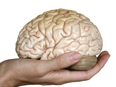 Ασκήστε τον εγκέφαλό σας καθημερινά Ασκήστε τον εγκέφαλό σας καθημερινά