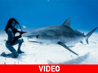 Φόρεσε το μπικίνι της και χόρεψε με τους καρχαρίες