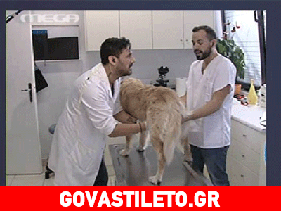 Έξαλλοι οι φιλόζωοι με τον Σεφερλή!