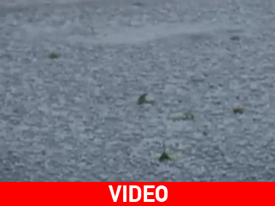 Έριξε χαλάζι στο Δομοκό