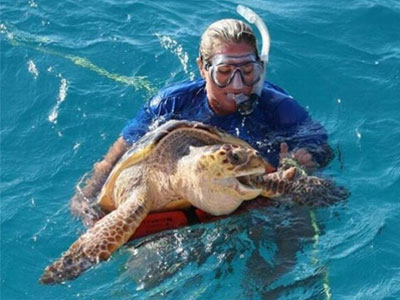 Δώδεκα νεκρές θαλάσσιες χελώνες τον Αύγουστο