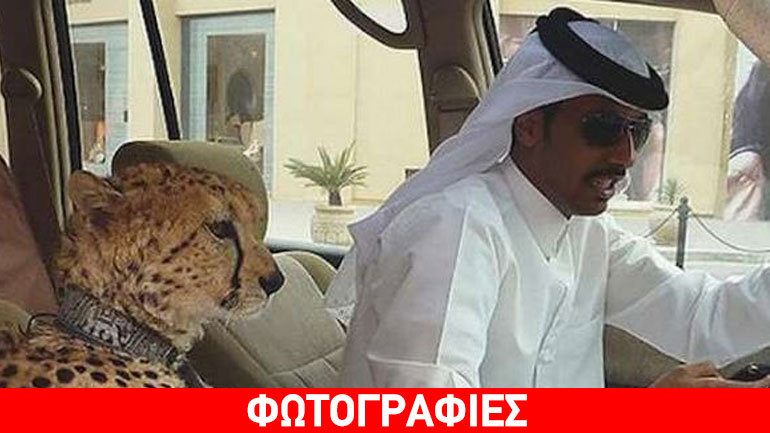 Εικόνες που μπορείτε να συναντήσετε μόνο στο Ντουμπάι Εικόνες που μπορείτε να συναντήσετε μόνο στο Ντουμπάι