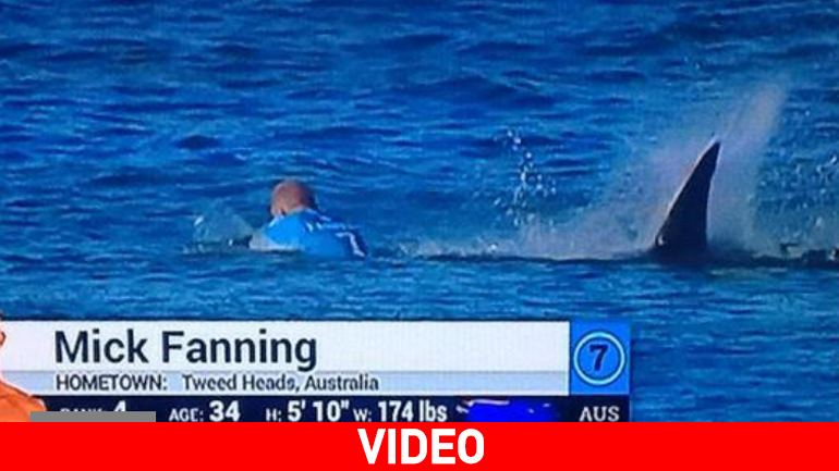 Καρχαρίας επιτέθηκε σε σέρφερ!