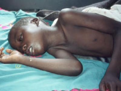 Μεταλλαγμένο βακτήριο κατά της νόσου τσε-τσε