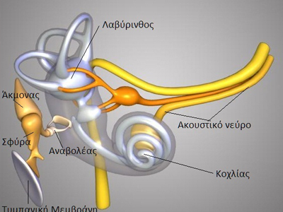Βουίζουν τα αυτιά σας; Φάτε… πασατέμπο