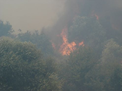 Φωτιά στην Κίσσαμο