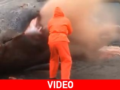 Το βίντεο του τρόμου: Νεκρή φάλαινα εκρήγνυται και ανοίγει στα δύο Το βίντεο του τρόμου: Νεκρή φάλαινα εκρήγνυται και ανοίγει στα δύο